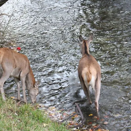 Il rifugio nel parco-3